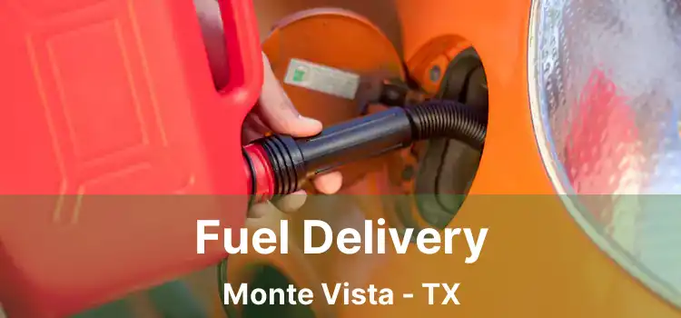 Fuel Delivery Monte Vista - TX