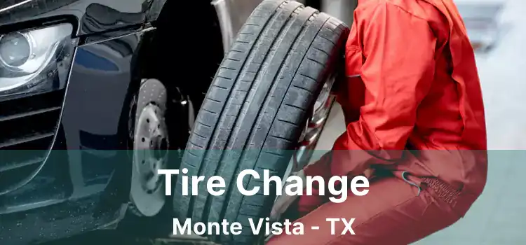 Tire Change Monte Vista - TX