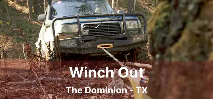 Winch Out The Dominion - TX